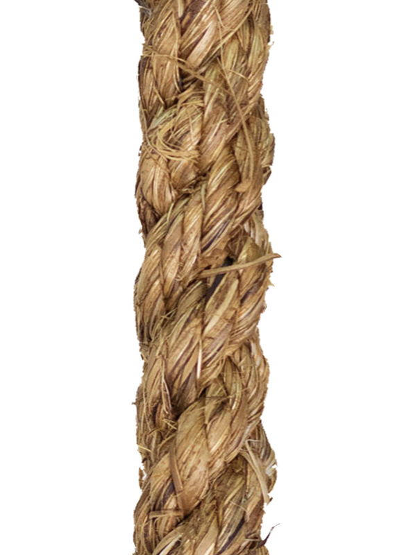 3 فروع حبل مانيلا